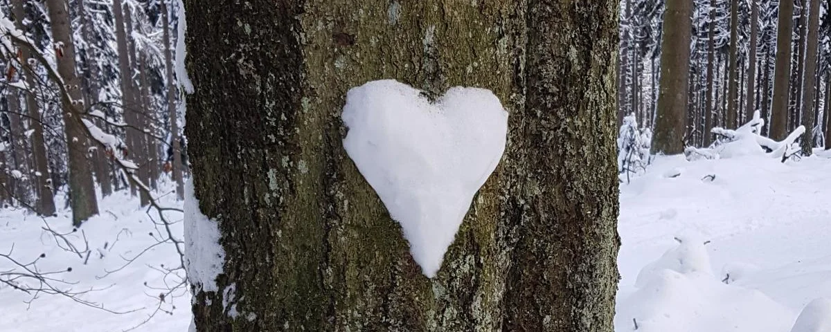 Baumstamm mit Schneeherz